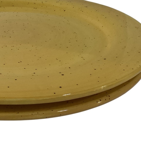 Pfaltzgraff Nuance of Gold Stoneware Charger Size Dinner Plate 11.75 in - Picture 2 of 4